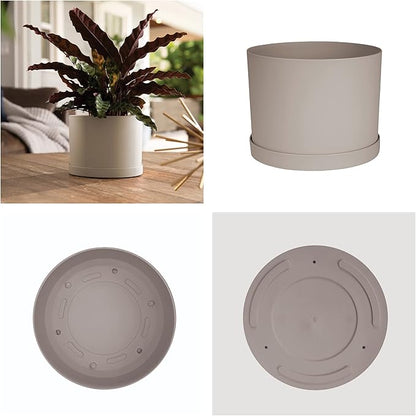 Bloem Mathers 6" Pebble Stone Round Modern Resin Garden Planter Pot with Drainage Holes and Removable Saucer Tray Included
