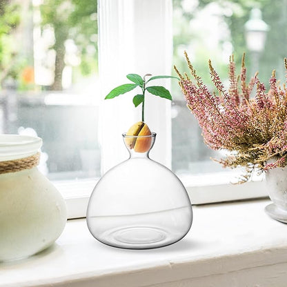 Avocado Tree Growing Kit,Avocado Seed Starter Vase,Glass Plant Pot with Avocado Stickers,Plant Indoor Grow Gardening Gifts