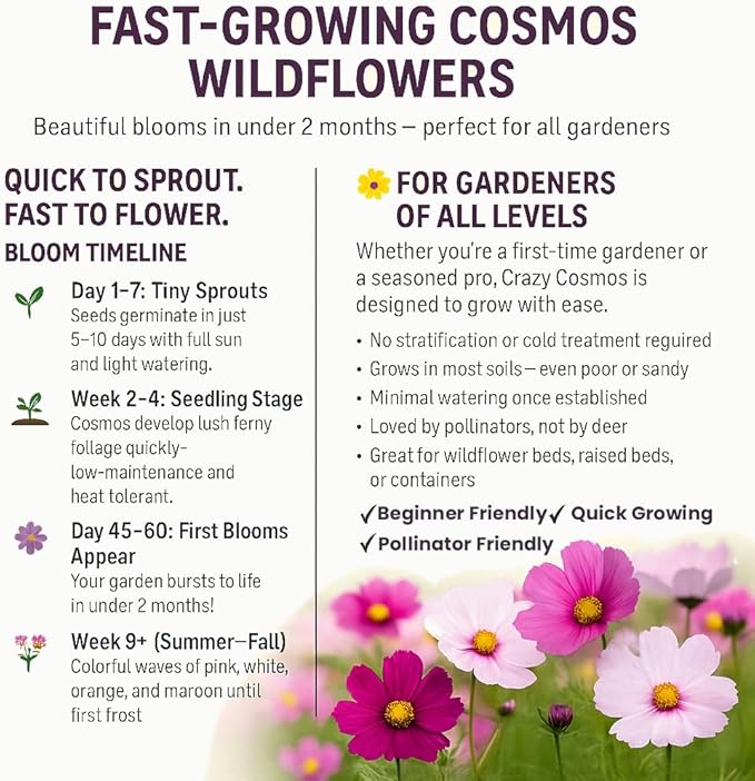 NatureZ Edge, Crazy Cosmos Seeds for 2026, 2250 Cosmos Seed, 15g, Made in USA, Annual Cut Flowers, Wildflower Seeds Bulk for Planting Flowers, Wild Flowers Seed Throw and Grow, semillas de Flores