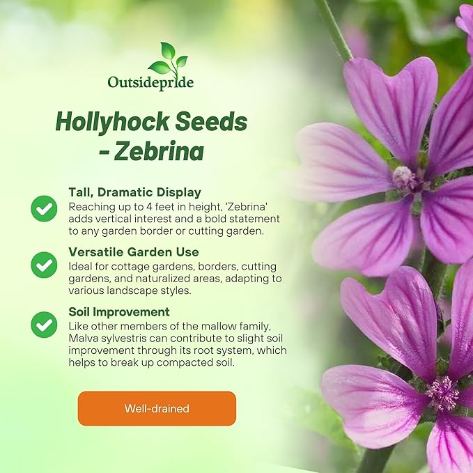 Outsidepride Zebrina French Hollyhock Seeds - 1000 Pcs Perennial White & Purple Heirloom, Long-Blooming Drought Tolerant Flower Seeds with Semi-Double Blooms for Cottage Gardens & Cut Flowers