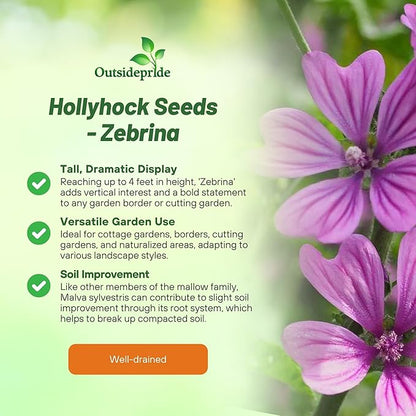 Outsidepride Zebrina French Hollyhock Seeds - 1000 Pcs Perennial White & Purple Heirloom, Long-Blooming Drought Tolerant Flower Seeds with Semi-Double Blooms for Cottage Gardens & Cut Flowers