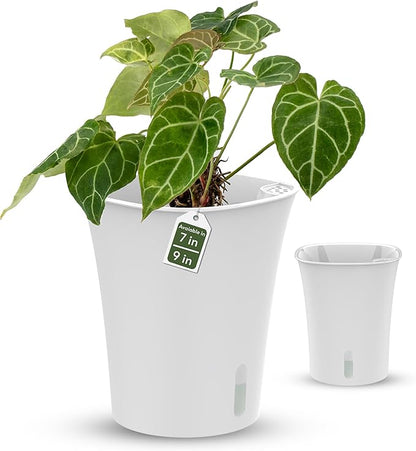 karenplantsplantsTM 6" Tall Diameter Self Watering Decorative Planter with Water Level Indicator for House Plants, Flowr, Herbs (5-Pack)