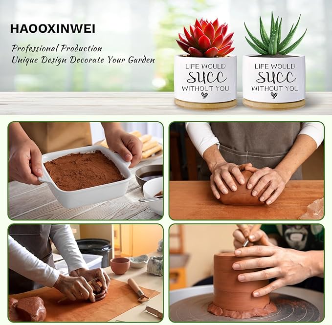 Funny planters for Indoor Plants,Funny Gifts for Planter Lover,Indoor Plants Garden Planters Succulent Pots, with Drainage Holes and Saucer(No Plants) (Life Would SUCC Without You)