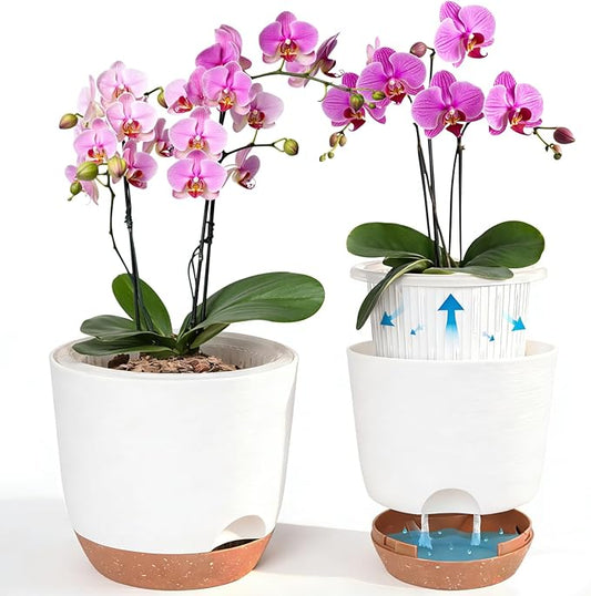 Sxueg Self Watering Orchid Pots for Indoor Plants,5.8 Inch Macetas para Orqudeas,Flower Pots for Indoor Plants with Holes(White)