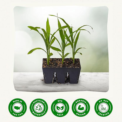 Epic Gardening Reusable Seed Starter Tray - Easy Watering Seed Starting Trays - Gardener Friendly Plant Trays for Seedlings | UV-Treated & BPA-Free -6-Cell Seed Starting Trays - 6 Trays/Black