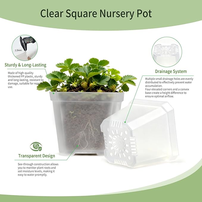 4 Inch Clear Nursery Pots for Plants, 30 Pcs Square Plant Pots, Small Flower Pots for Plants, Hard Planters for Indoor Plants