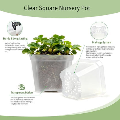 4 Inch Clear Nursery Pots for Plants, 30 Pcs Square Plant Pots, Small Flower Pots for Plants, Hard Planters for Indoor Plants
