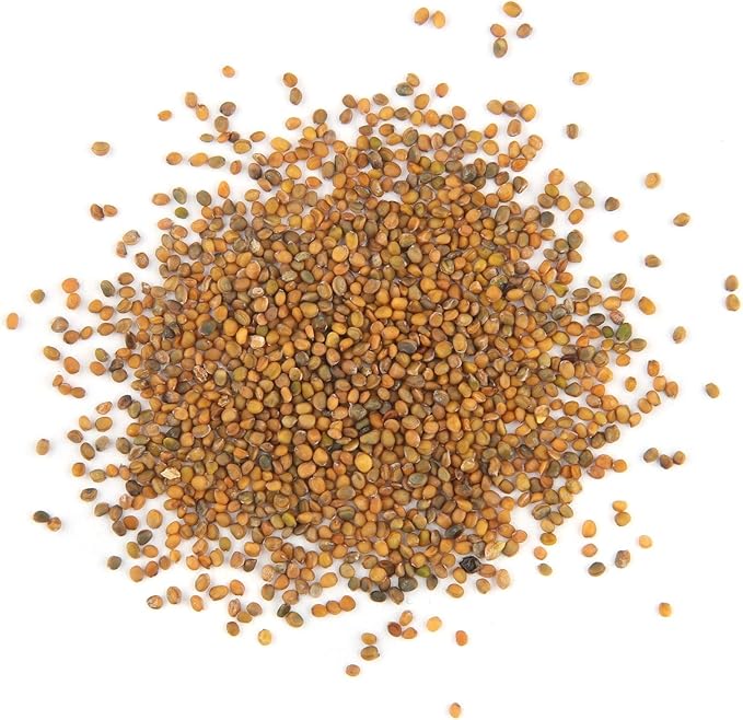 Todd's Seeds Sprouting Arugula Seeds Microgreens for Salads and Sandwiches, One Pound of Seed, Non-GMO, Chemical Free, Grown in The USA, Hand Inspected