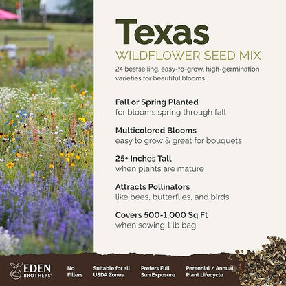 Eden Brothers Texas Wildflower Mixed Seeds for Planting, 1 lb, 480,000+ Seeds with Cornflower, Birds Eyes, African Daisy | Attracts Pollinators, Plant in Spring or Fall, Zones 3, 4, 5, 6, 7, 8, 9, 10