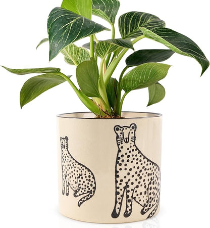 5 Inch Ceramic Planters for Indoor Plants, Funny Small Plant Pots with Drainage, Unique Decorative Cute Flower Pot Panthers Round Flowerpots