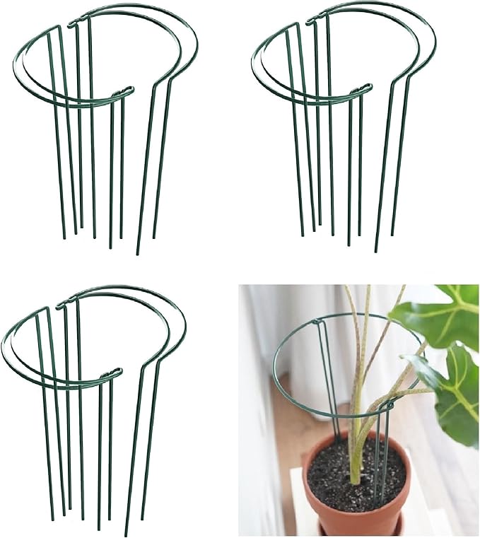 12 Pack 24 Inch High Plant Stake,Garden Plant Support,Half-Round Peony Cage Plant Ring Hoop