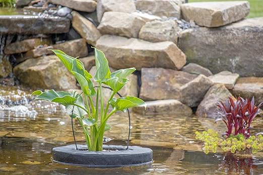 Pondh2o Floating Aquatic Water Garden Pond Planter Woven Fabric Basket, 10 Inch Square, Floatable Aquatic Plant or Flower Islands for Ponds and Water Features