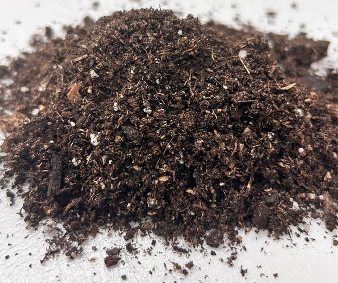 Black Gold All Purpose Potting Mix 8qt