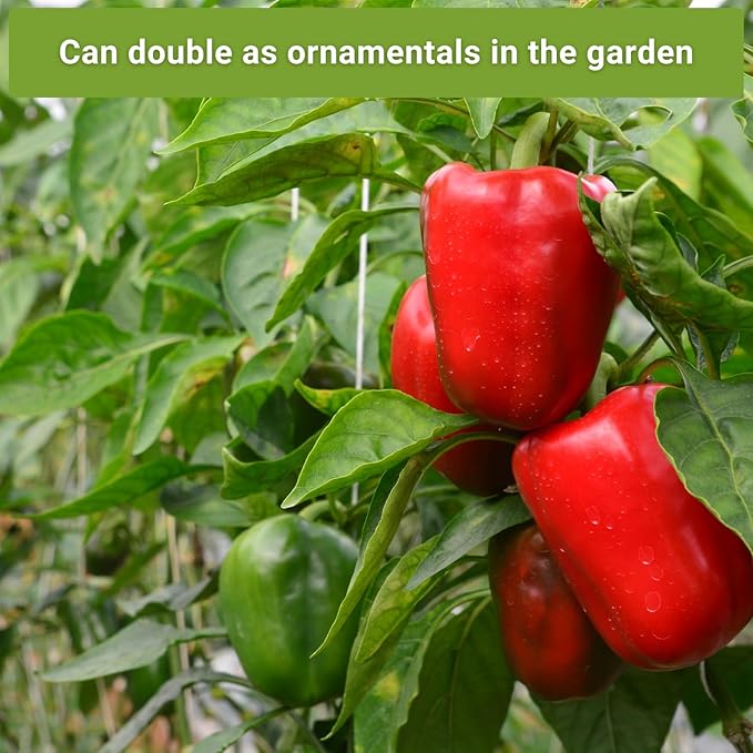 Sow Right Seeds - Hot & Sweet Pepper Seed Collection for Planting - California Wonder, Cubanelle, Marconi Red, Jalapeno, Serrano, Sunbright, Cayenne, Anaheim - Non-GMO Heirloom Peppers to Plant