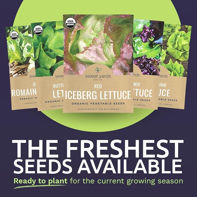 Organic Lettuce & Greens Seeds Variety Pack - 5 Individual Packs - 2026 Season - Buttercrunch, Gourmet Mix, Romaine, Tom Thumb & Iceberg. for Indoor & Outdoor Planting (Non-GMO, Certified Organic)
