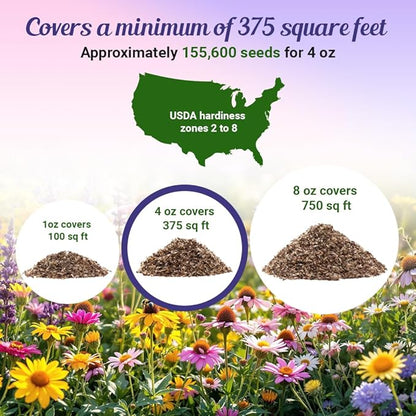 BBB Seed Partial Shade Wildflower Seeds 4oz - Open-Pollinated Wildflower Seed Mix Packet, No Fillers, Annual, Perennial Wildflower Seeds for Planting Year Round, 1/4 Pound