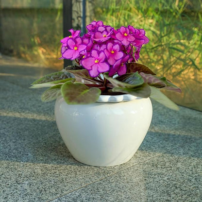 2pcs 6.5 * 4.6 * 4 inch White African Violet Flower Pot Ceramic Self Watering Flower Pot Simple Plant Self Watering Pot Indoor Flowers High Absorption Herbaceous Flower Pot