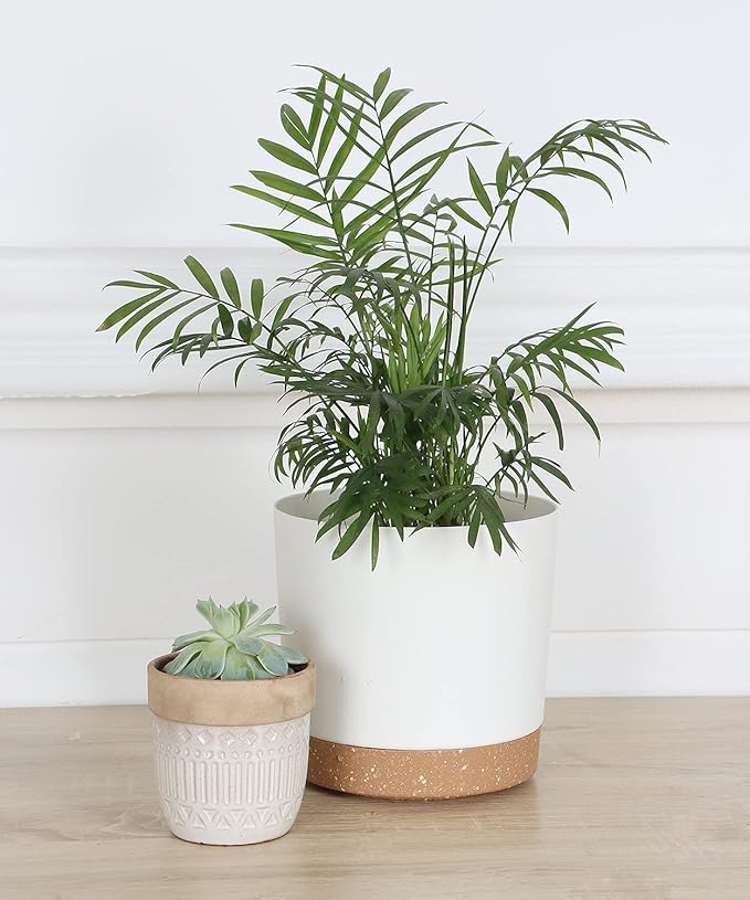 kubvici 2 Pack 8 Inch Planters for Indoor Plants, Plastic Flower Pots Plant Pots Indoor with Drainage Saucer for Outdoor Garden Home Plant, White 8”