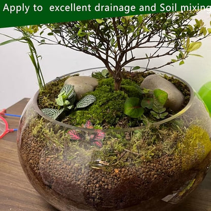 Horticultural Akadama Soil - Cactus Bonsai Succulent Soil Additive for Plants, Landscaping, Vase Fillers (3 LB, 1/4 inch Hard-Grade Akadama)