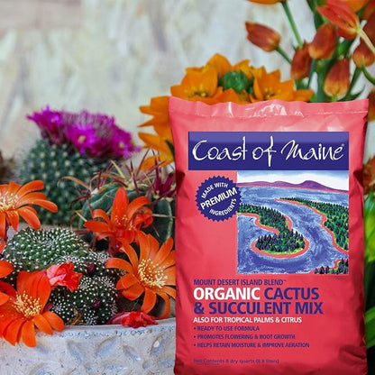 Coast of Maine - Mount Desert Island Blend - Organic Cactus and Succulent Mix, 8qt