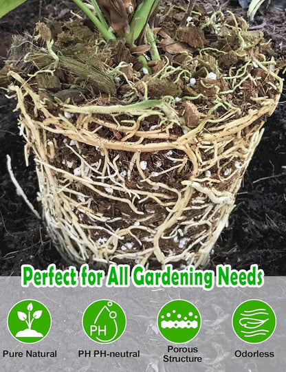 TOYPOPOR Perlite for Plants, (6qt) 3-6mm Organic Perlite for Gardening, Perlite for Plants Indoor, Soil Additive Conditioner Mix Improve Drainage and Ventilation Promote Root Growth and Soil Health