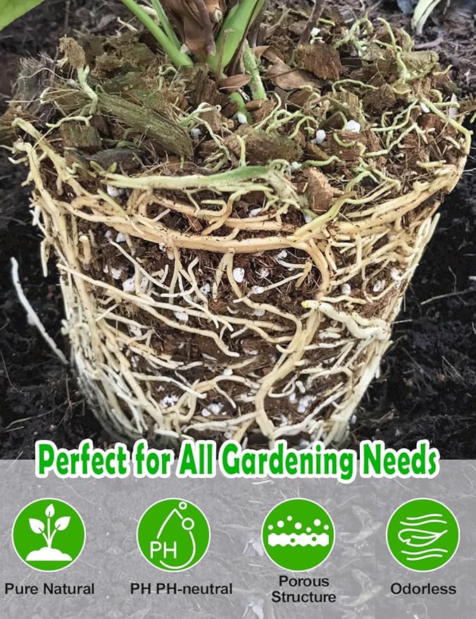 TOYPOPOR Perlite for Plants, 3-6mm Organic Perlite for Gardening, Perlite for Plants Indoor, Soil Additive Conditioner Mix Improve Drainage and Ventilation Promote Root Growth and Soil Health 1qt