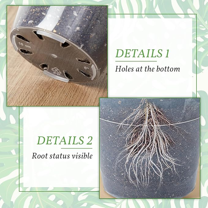 Vesici 12 Pcs 6/8/10 Inch Large Size Clear Nursery Pots Variety Pack Plant Pots with Drainage Holes Planters for Indoor Plants Flexible Transparent Plastic Plant Bottle Succulents