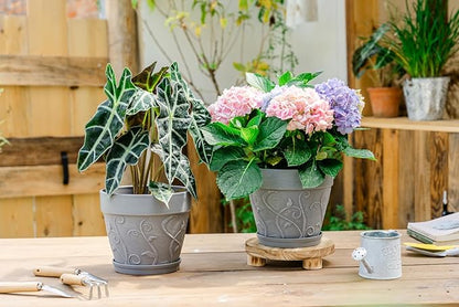 Melphoe Plant Pots Indoor with Drainage & Saucer, 2Pack 8 inch Flower Pots Outdoor Planters for Indoor Plants Garden Home Decor Cactus Succulent, Rigid Plastic (Imitation-Terracotta) Vine-Embossed