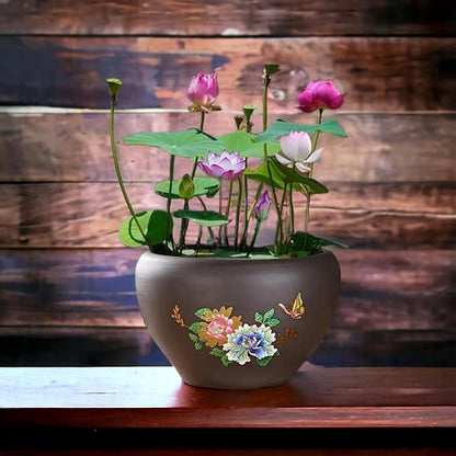 15 Lotus Seeds for Planting, Pack for 2026 USA Premium Non-GMO Seeds - Pink, Red & Green Color, Beautiful Water Plants for Indoor Bonsai, Outdoor Ponds and Gardens