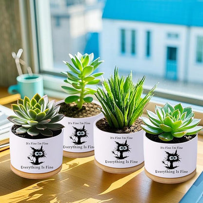 Black cat planters for Indoor Plants,Funny Gifts for Cat Lover,Indoor Plants Garden Planters Succulent Pots, with Drainage Holes and Saucer(No Plants) (Black Cat)