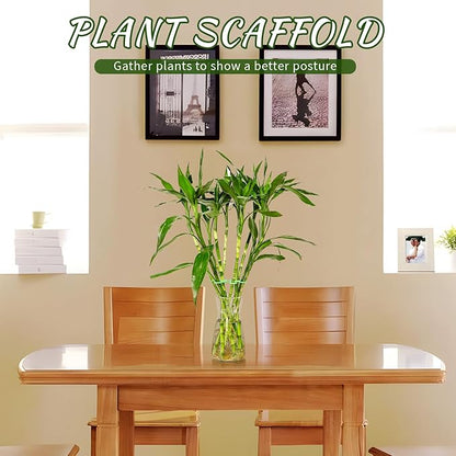 4 Pcs Plant Stem Supports for Indoor Plants, Assorted Sizes Plastic Plant Stabilizer Growth Accessories Plant Stakes Holders for Monstera Potted Climbing Plant (4, Green)