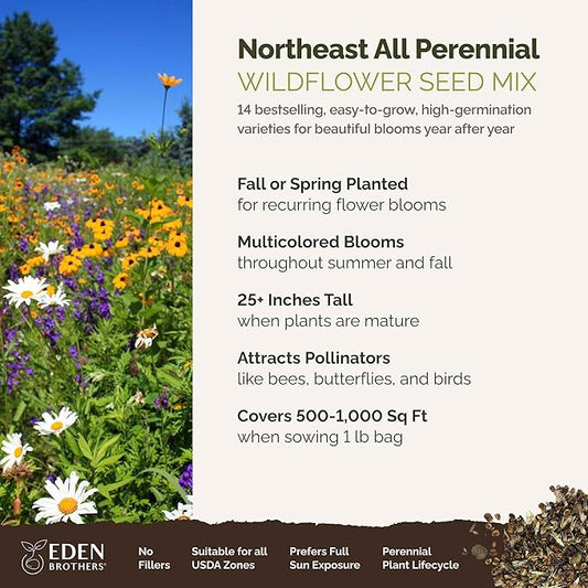 Eden Brothers Northeast All Perennial Wildflower Mixed Seeds for Planting, 1 lb, 480,000+ Seeds with Milkweed, NE Aster | Attracts Pollinators, Plant in Spring or Fall, Zones 3, 4, 5, 6, 7, 8, 9, 10