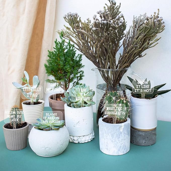 arricraft 15 Pcs Clear T-Shaped Acrylic Plant Labels, Funny Text Phrase Theme Waterproof Garden Stake Labels for Indoor Outdoor Potted Plants Nursery Marker Decoration 4.01x2.68 inches