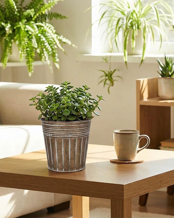 vensovo 5 Inch Brown Metal Rustic Flower Pots - 6Pcs Small Galvanized Planters with Drainage Hole and Rubber Plug, Rustproof Metal Bucket Plant Pots Farmhouse Vintage Style for Decor