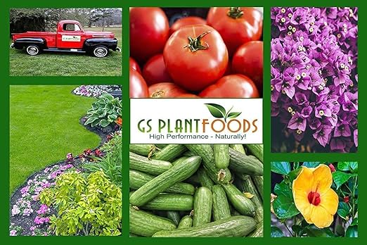 GS Plant Foods Root Ruckus Compost Fertilizer Organic Plant Food - Turbo Charged Compost for Plants - Humic Acid & Sea Kelp Nutritional Root Supplement for Lawns, Soil, Shrubs & Vegetables - 5 Gallons