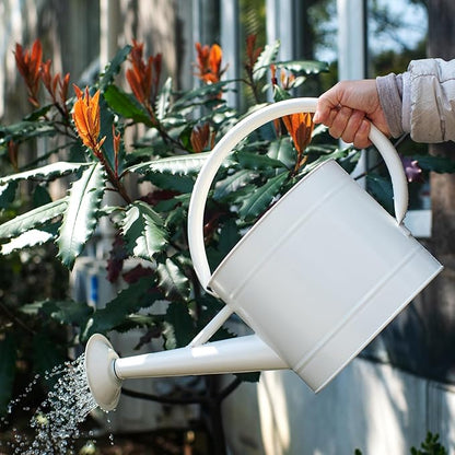 1.3 Gal Watering Can, Matte Cream White Finish, Galvanized, Metal Watering Can, Perfect Plant Water Can for Plants Indoor & Outdoor