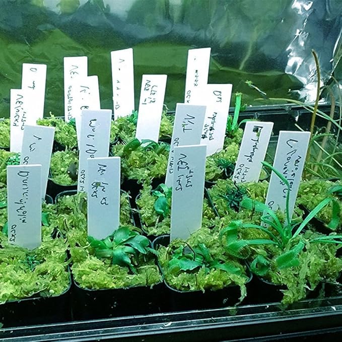 100 Pcs 4 Inch Plastic Plant Garden Labels Pot Marker Nursery Garden Stake Tags (100 Pcs White Type A)