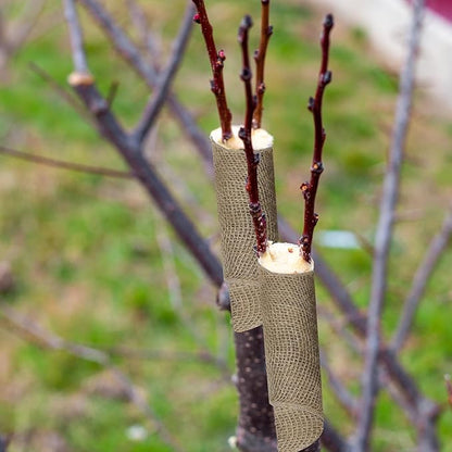6.3" x 50ft Burlap Tree Wrap Roll for Gardening, Natural Tree Trunk Wrap Fabric Tree Protector Garden Burlap Roll Burlap Wrap Plants Bandage for Keeping Warm Moisturizing (6.3" x 50ft)