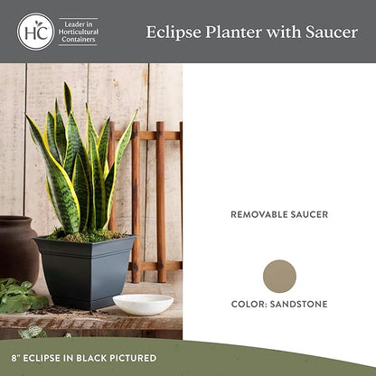 The HC Companies 6 Inch Eclipse Square Planter Pots with Drainage Holes & Attached Saucer, Lightweight UV-Resistant Plastic Indoor Outdoor Planters, 4-Pack Flower Pots for Garden Home Decor, Sandstone