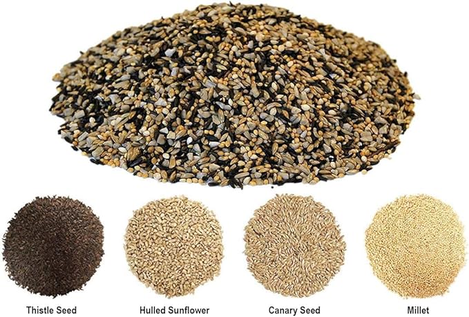 CountryMax Backyard Seeds Finch & Small Songbird Frenzy 5lbs - Premium Nyjer Thistle Seed Blend for Finch Feeders, Small Bag of Wild Bird Food
