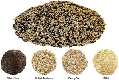 CountryMax Backyard Seeds Finch & Small Songbird Frenzy 5lbs - Premium Nyjer Thistle Seed Blend for Finch Feeders, Small Bag of Wild Bird Food