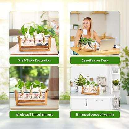 XXXFLOWER Plant Terrarium Propagation Stations Unique Gifts for Women Wife Mom Plant Lovers 3 Heart Shaped Vases for Hydroponics Home Garden Office Decor(Plants NOT Included)
