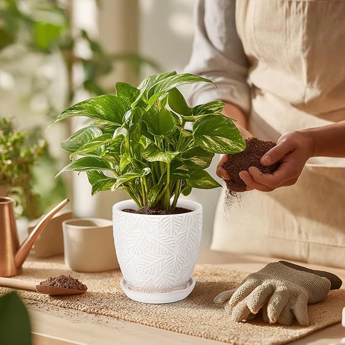 EFISPSS Ceramic Plant Pots, 6 Inch Ceramic Planter Pot with Drainage Hole and Saucer, Indoor Modern Flower Pots, Set of 2 - White
