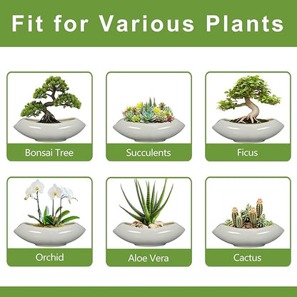 Bonsai Pots 18 Inch - Ceramic Succulent Pots with Drainage Hole Decorative Plant Pot Indoor Large Outdoor Planter Modern Flower Pot for Home Garden Room Decor Gray
