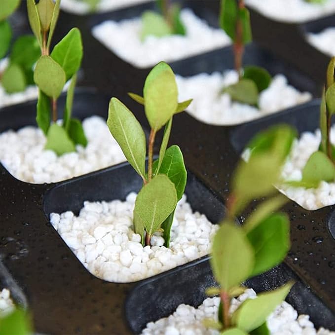 Organic Perlite for Plants, Soil Amendment for Enhanced Drainage and Growth, Ideal for Potting Mixes(4 Quart)