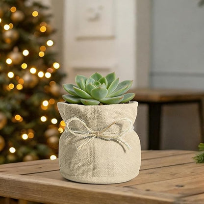 Succulent Pots Flower Pots for Indoor Plants Cute Plant Pots Candy Bowl for Office Key Holder Bowl Farmhouse Table Decor (Gold)