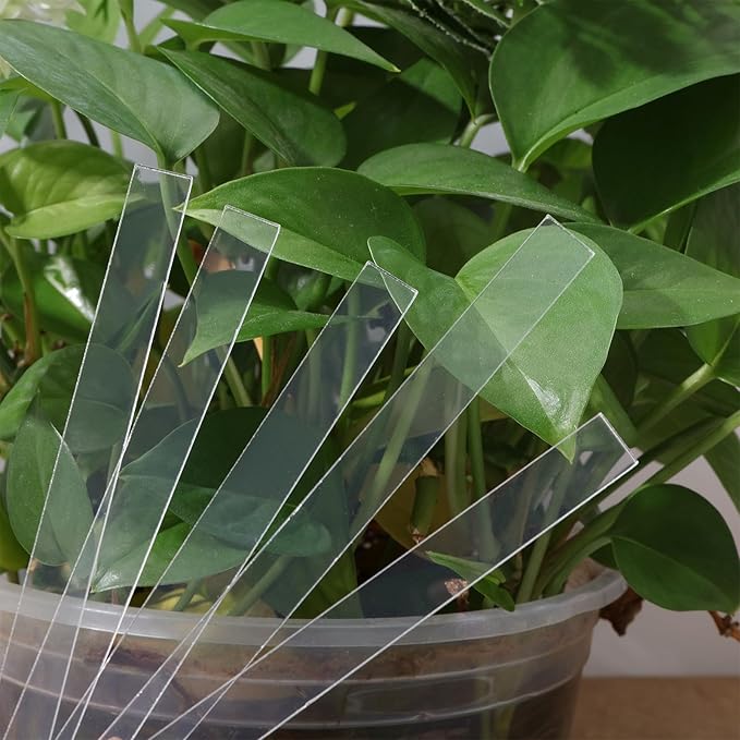 CHGCRAFT 60 Pcs Clear Blank Ground Identifier Tag Double Sided Laminating Plant Identifier Marker Garden Identification Label Ground Identifier Tag Acrylic Plant Marker