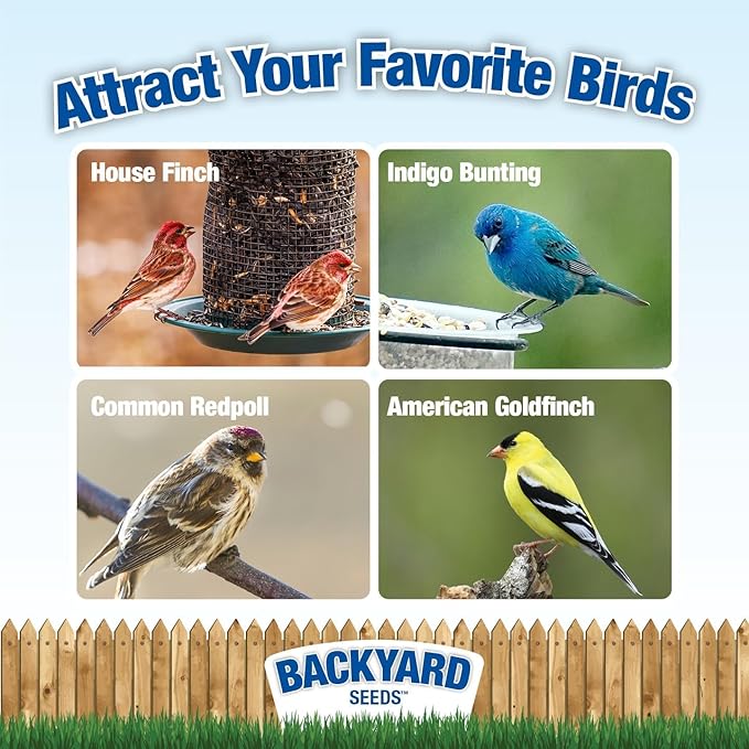 CountryMax Nyjer Thistle Seed for Finches 20lbs - Premium Nyjer Bird Seed for Outside Feeders, Large Bulk Bag of Wild Bird Food