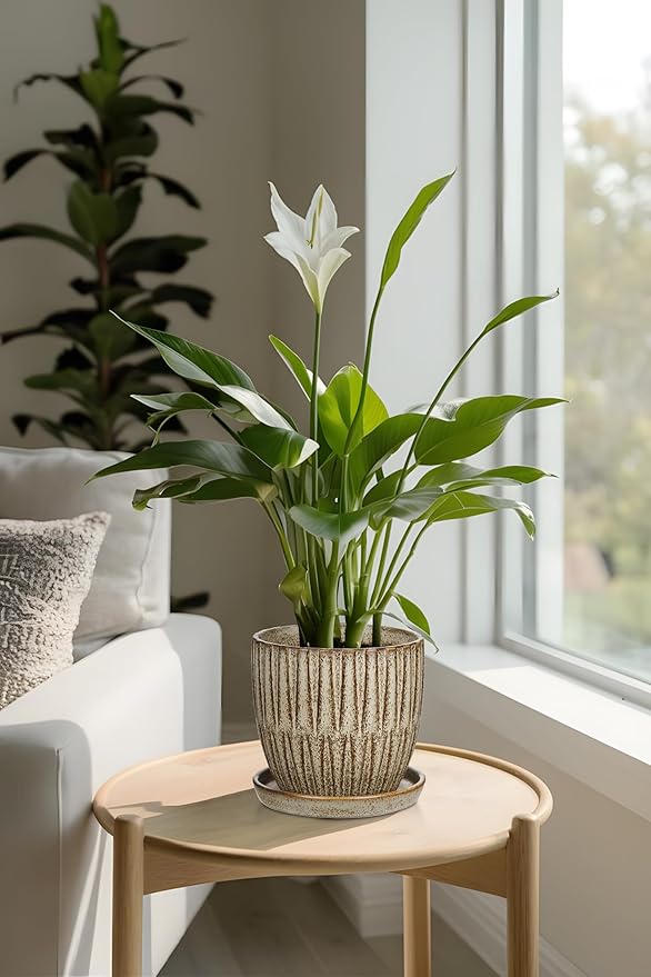 Oairse Ceramic Pots for Indoor Plants, 4.7 +5.7 inch Pots for Plants Set of 2 Brown Plant Pots with Drainage Holes and Saucers Texture Ceramic Planters Indoor Outdoor Flower Pot for Succulent