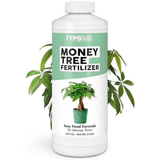 Money Tree Fertilizer for Money Trees and All Pachira Plants, Liquid Plant Food, 32 oz (1 Quart)